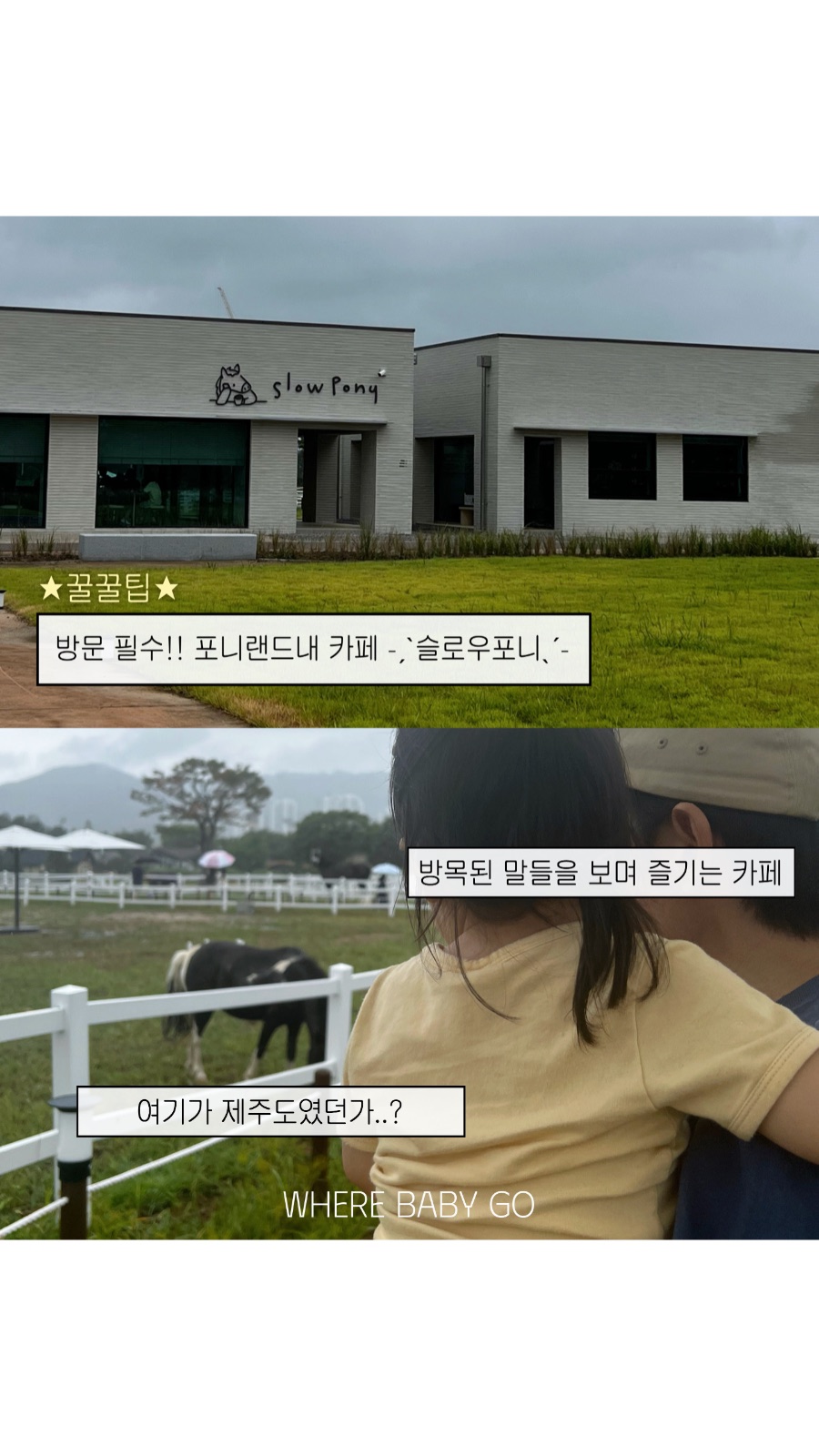 렛츠런파크서울 포니랜드 사진