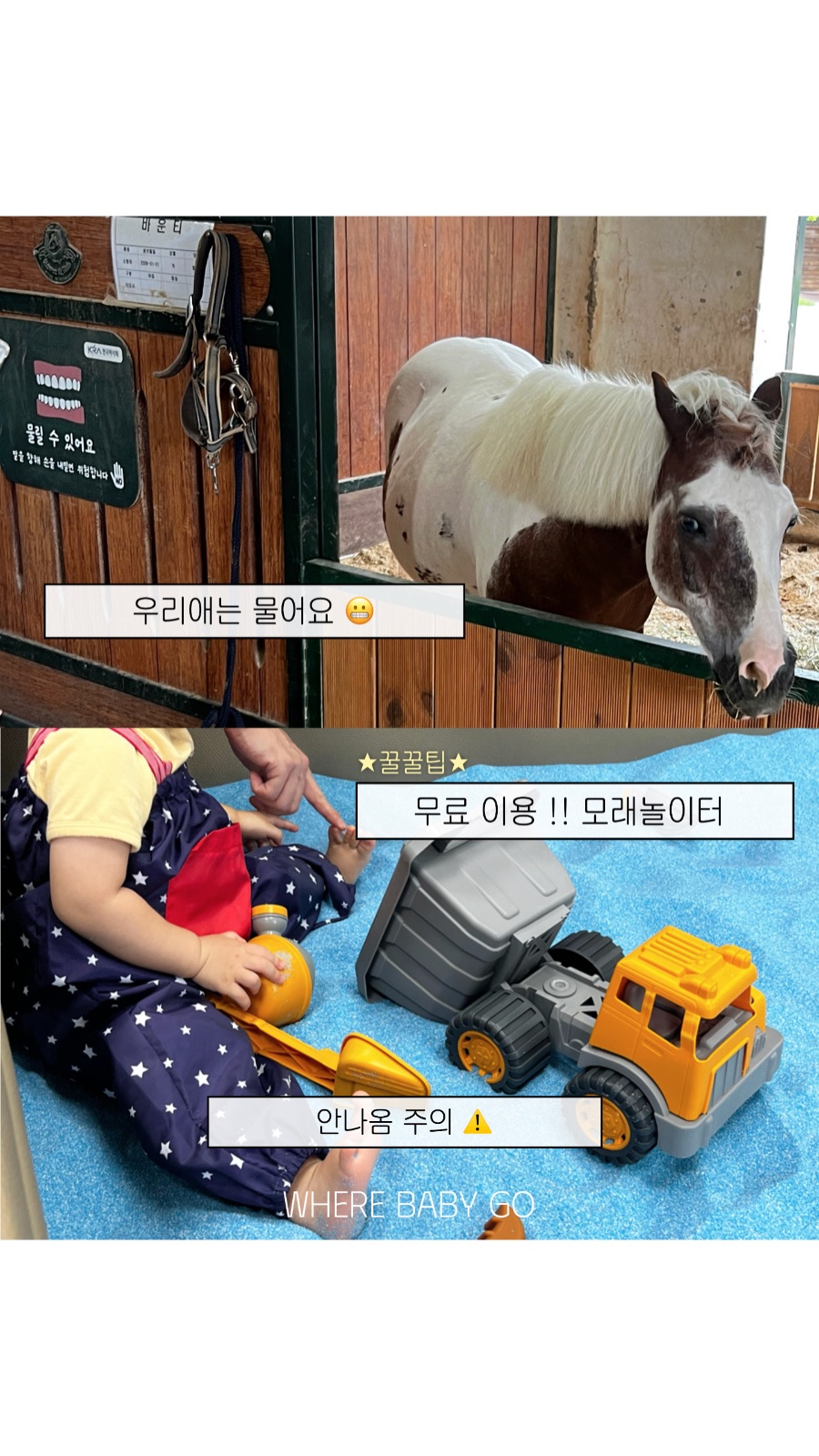 렛츠런파크서울 포니랜드 사진