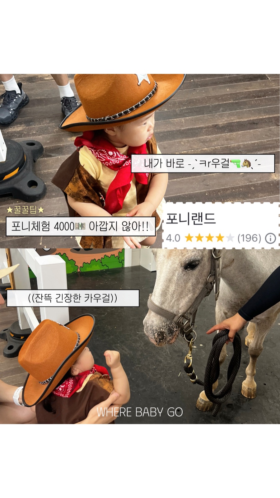 렛츠런파크서울 포니랜드 사진